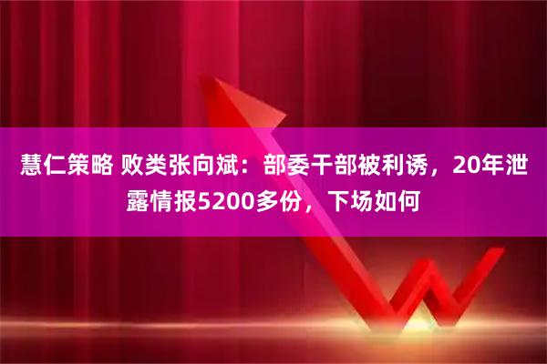 慧仁策略 败类张向斌：部委干部被利诱，20年泄露情报5200多份，下场如何