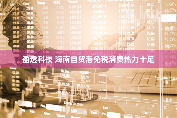 盈透科技 海南自贸港免税消费热力十足