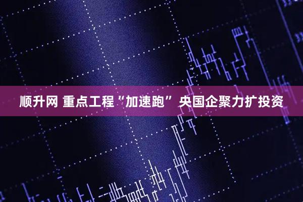顺升网 重点工程“加速跑” 央国企聚力扩投资