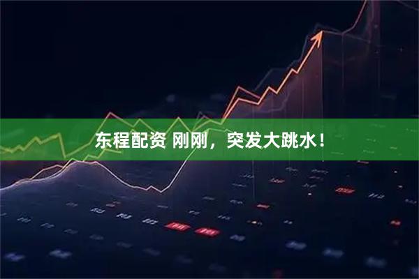东程配资 刚刚，突发大跳水！