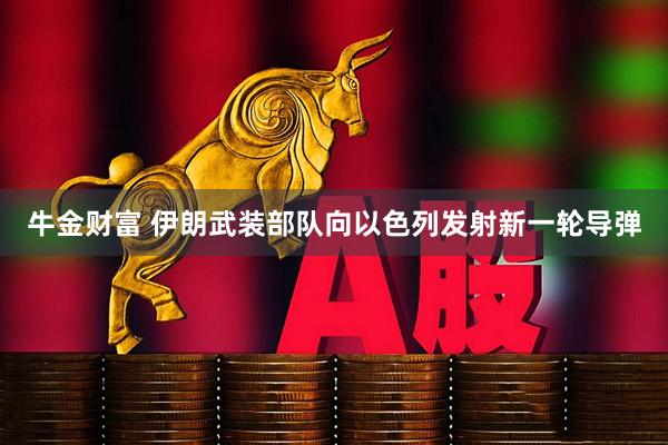 牛金财富 伊朗武装部队向以色列发射新一轮导弹