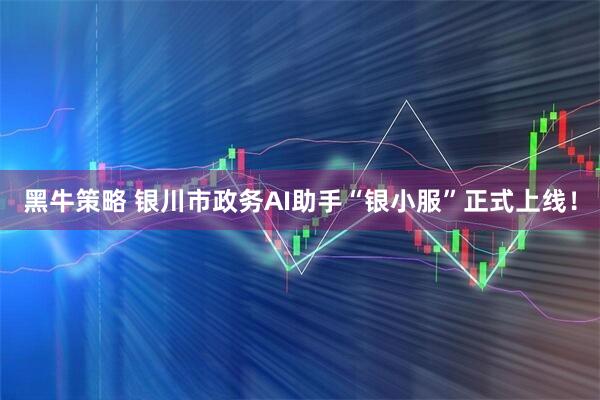 黑牛策略 银川市政务AI助手“银小服”正式上线！