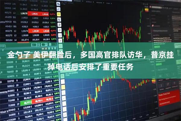 金勺子 美伊翻脸后，多国高官排队访华，普京挂掉电话后安排了重要任务