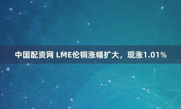 中国配资网 LME伦铜涨幅扩大，现涨1.01%