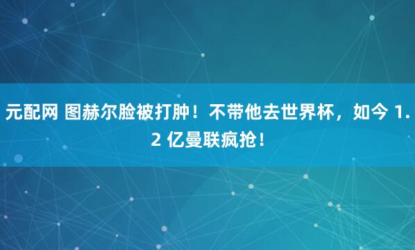 元配网 图赫尔脸被打肿！不带他去世界杯，如今 1.2 亿曼联疯抢！