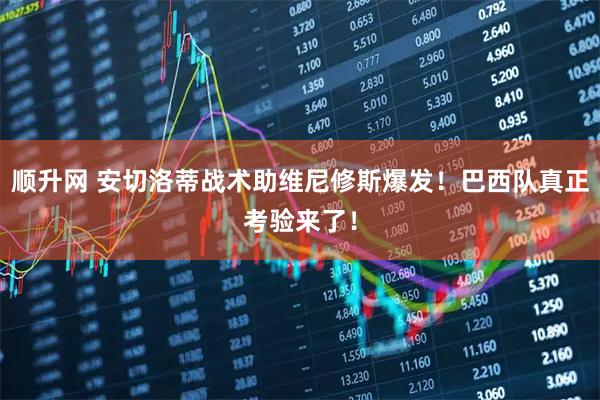顺升网 安切洛蒂战术助维尼修斯爆发！巴西队真正考验来了！