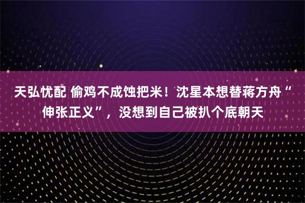 天弘忧配 偷鸡不成蚀把米！沈星本想替蒋方舟“伸张正义”，没想到自己被扒个底朝天