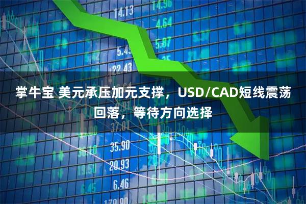 掌牛宝 美元承压加元支撑，USD/CAD短线震荡回落，等待方向选择