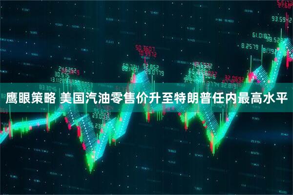 鹰眼策略 美国汽油零售价升至特朗普任内最高水平