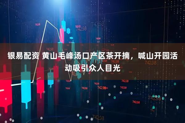 银易配资 黄山毛峰汤口产区茶开摘，喊山开园活动吸引众人目光