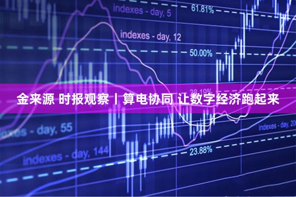 金来源 时报观察丨算电协同 让数字经济跑起来