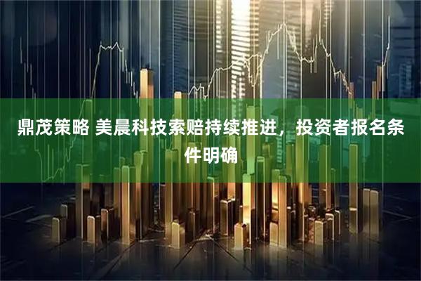 鼎茂策略 美晨科技索赔持续推进，投资者报名条件明确